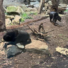 24-12-06 14-09-12 1639